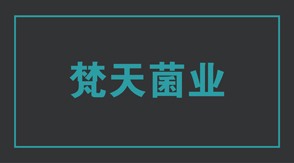 食品行业泰安冲锋衣设计款式